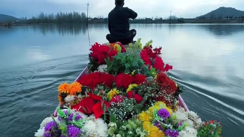 Beautiful Nature || In a lake at evening time