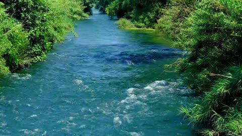 Cascading Waterfall River Rapids In Forest