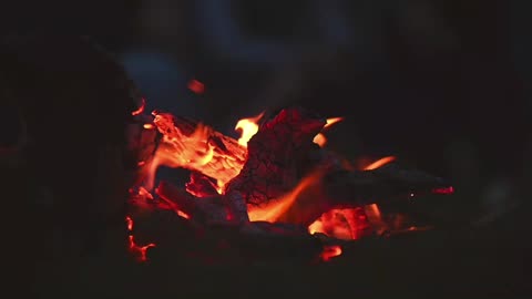 Campfire Ambience for sleeping ( 7 Hours )