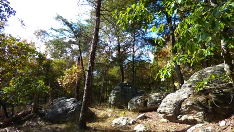 Oak Mountain State Park, Fall 2016. Slideshow.