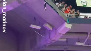 Fans Catch CAT Plummeting from Stadium