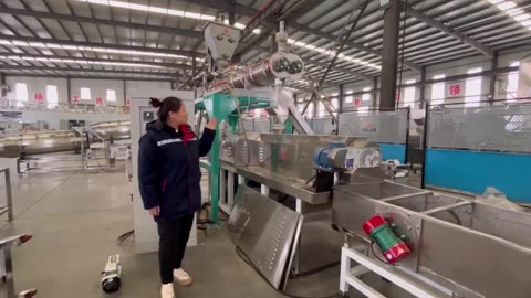 500kg/hour dog food production line