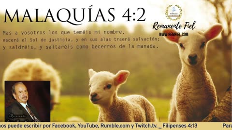 ¡SI TU FE ESTA EN DIOS, NADIE TOMARA TU LUGAR! _ Daniel 6: 21-22