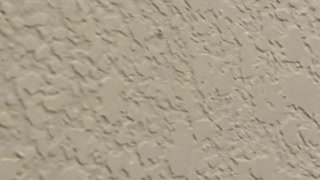 How to repair drywall