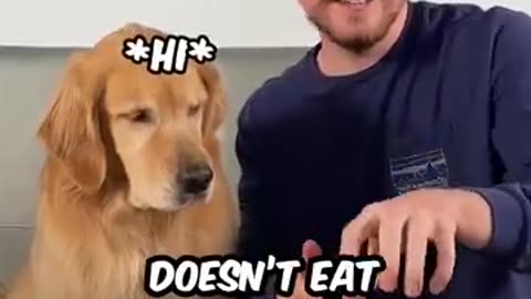 Feeding a dog steak 🥩