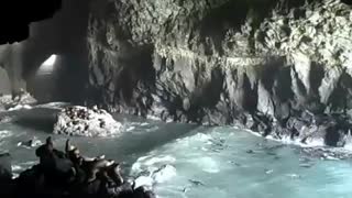 SEA LION CAVES! ~ BIKE TOURING the WEST COAST! vid#5 - Apr 14th 2010