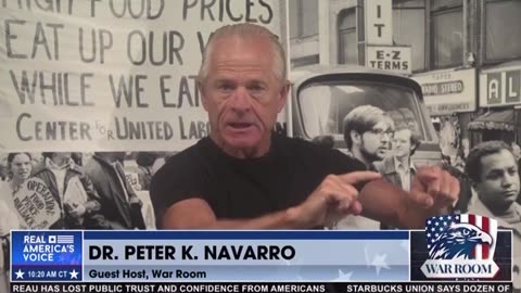 Peter Navarro: Cyber Warfare