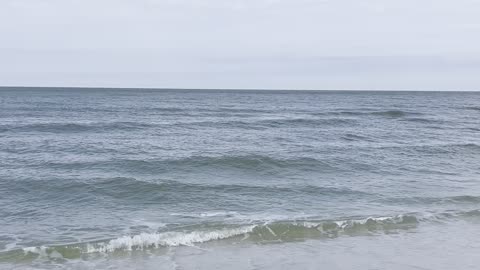 Bluebill Beach Naples, FL 11/18/22 PT 2 #4K #HDR #DolbyVision￼