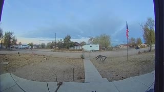 Dog Learns About the Doorbell