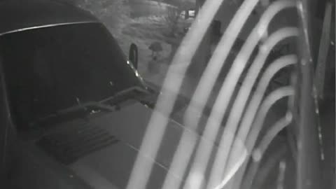 Security Camera Captures Spider Building Its Web