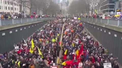 Belgium Rising Up For Freedom! It's Glorious!