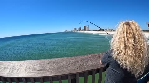 Saltwater PIER FISHING with Shrimp!