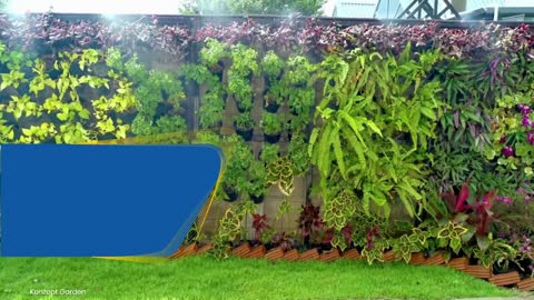 How to grow more vegetables with less space | EcoWall (Vertical Garden)