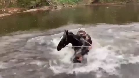 Horse Bucks A Man Off His Back When He Was Riding In A River