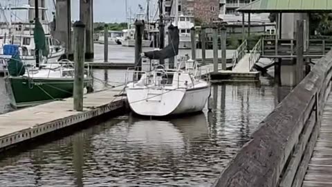 Shrimp Boats and the Family