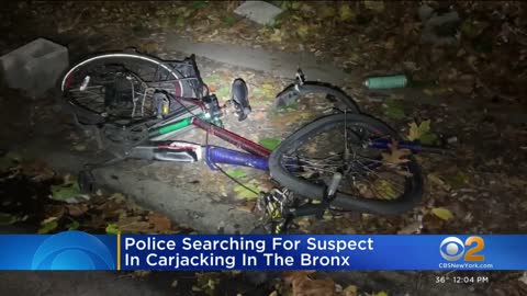 Police: Carjacking suspect who struck cyclist arrested