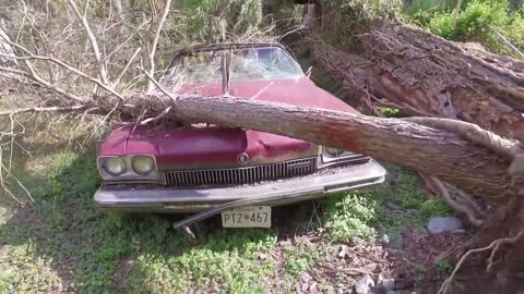 Abandoned house in the woods with old cars