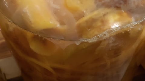 Homemade Vinegar- Scoby formation