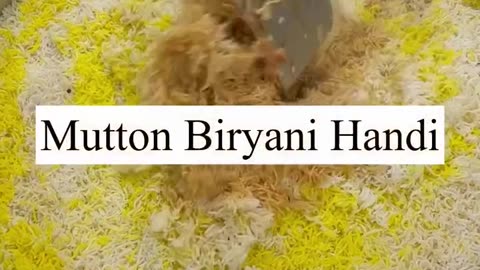 Hyderabadi Biryani