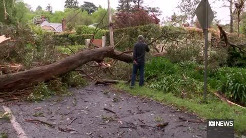 Wild weather blasts South Australia, triggering floods, blackouts and widespread damage | ABC News