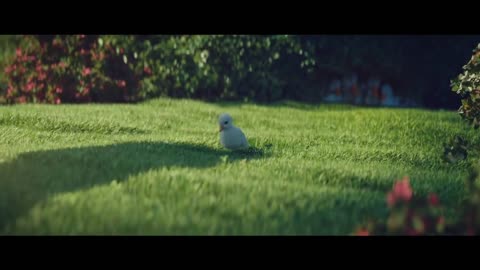 2018 The Little Duck - Disneyland Paris commercial