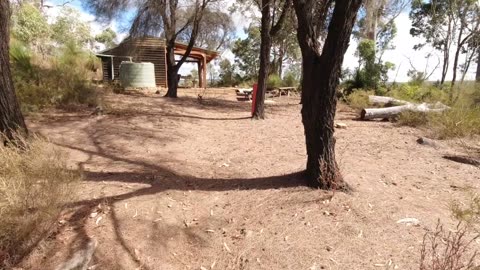 Waalegh Shelter on the Bibbulmun Track