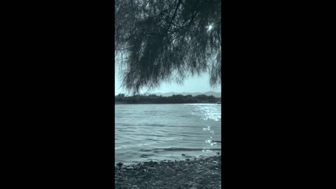 Fun in the Sun on the Colorado River