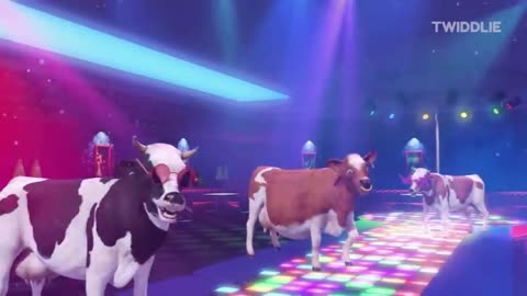 FUNNY COW DANCE #2 | Cow Song & Cow Videos 2023