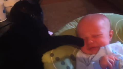 Baby and Cat Funny