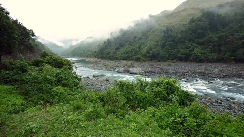 Sumatran Rainforests Unveiled Exploring the Crown Jewels of Southeast Asia a