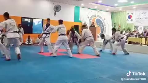 Hapkido