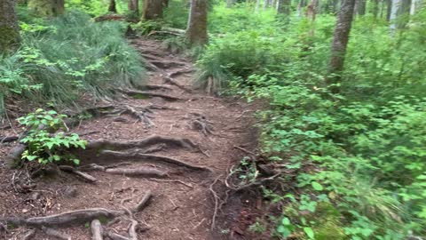 Oregon - Mount Hood - "Watch Your Step" Style Hiking