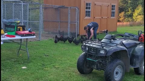 Building A Barn Style Door for Chicken Coop At NightCloudFarms