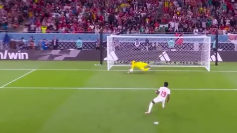 Fifa world cup highlight