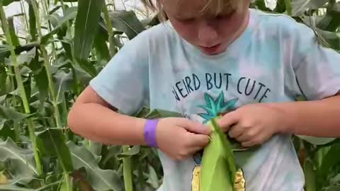 Sweet corn with the girls!