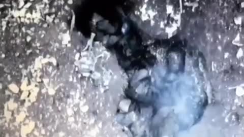 Russian soldier blows himself up to avoid capture