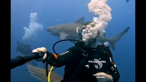 BULLSHARKS selfie 😆