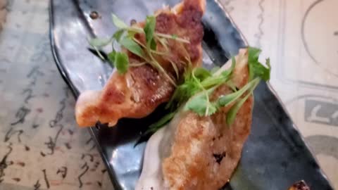 Kapow | Food | Wagyu Beef Potstickers | Florida