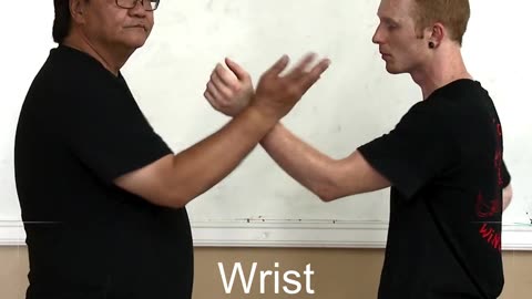 Wing Chun - Kinetic Chain Follow through - Gary Lam