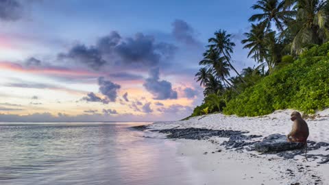 Relax Library: Video 20.Ocean at the beach. Relaxing videos and sounds