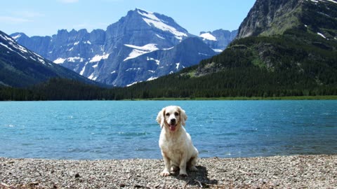 Glacier National Park Montana Going To The Sun Road