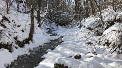 Snowy Creek - Stream/ Water Sounds - Mountain Snow - Relaxing Winter Nature Video - Ultra HD