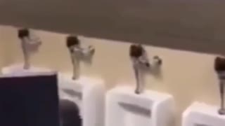 Bathroom Brawl