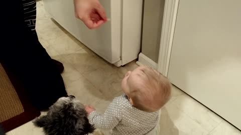 Baby and puppy receive snacks