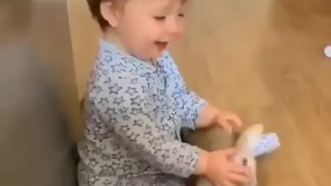 Baby dogs play with children