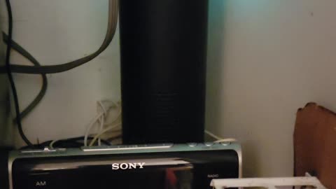 Alexa or Echo slips up voice change