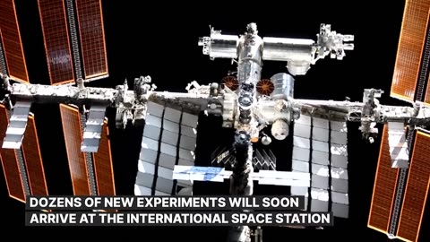 Secret behind sending seeds, ovarian cells and 3D bioprinter to the space station