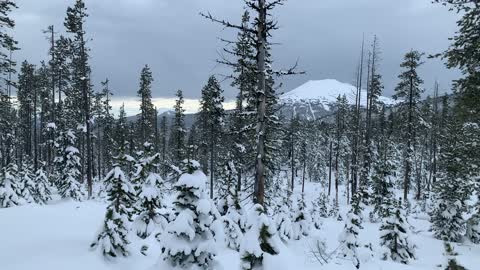 Mountain Views near Vista Butte Summit – Central Oregon – Vista Butte Sno-Park – 4K