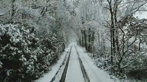 Snow Ride