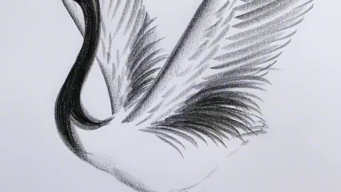 Creating Realistic Art: Drawing a Goose | Time-Lapse Video